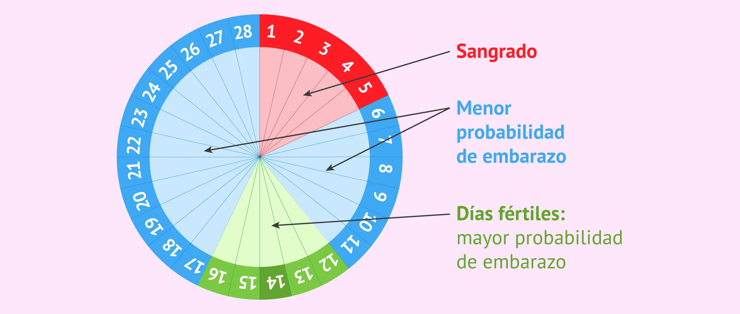 Fases del ciclo menstrual y emociones